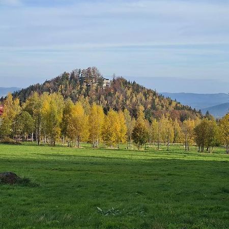Rezydencja Green Hill - Ekskluzywny Dom W Karpaczu Экстерьер фото